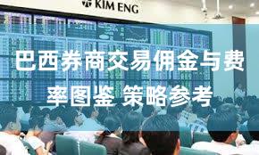 巴西券商交易佣金与费率图鉴 策略参考